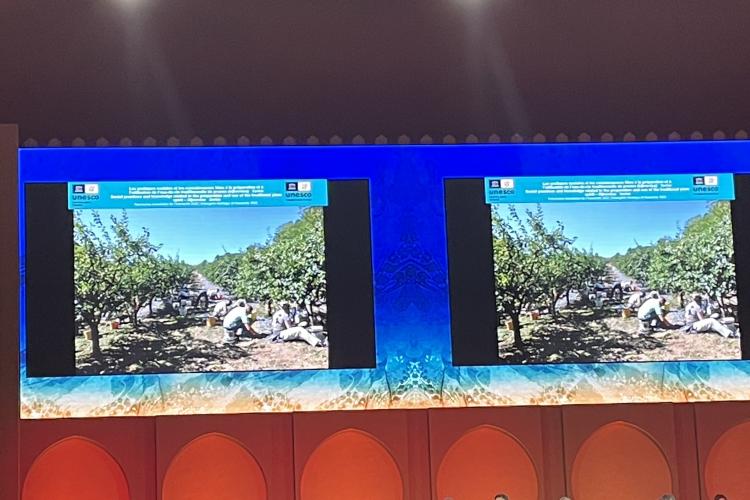 17. заседање Међувладиног комитета за НКН, Мароко, Рабат