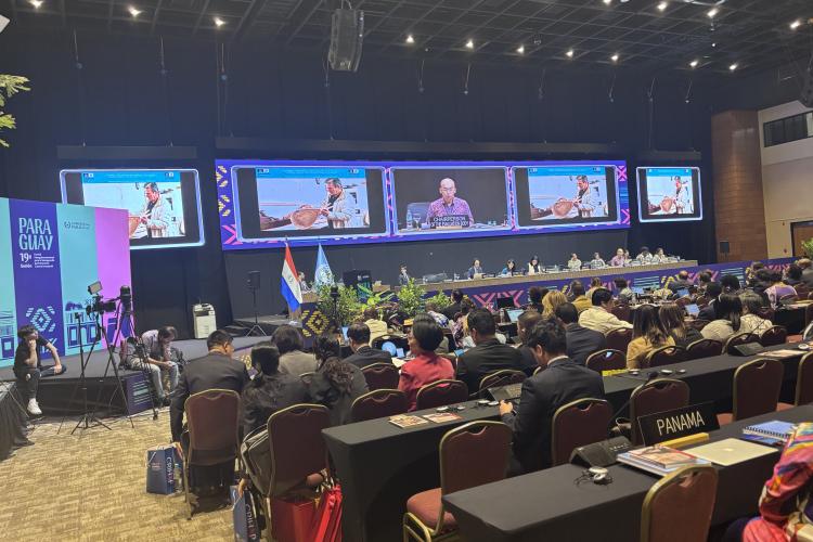 Деветнаесто заседање Унесковог Међувладиног комитета за нематеријално културно наслеђе 