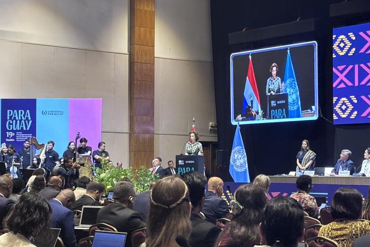 Деветнаесто заседање Унесковог Међувладиног комитета за нематеријално културно наслеђе 