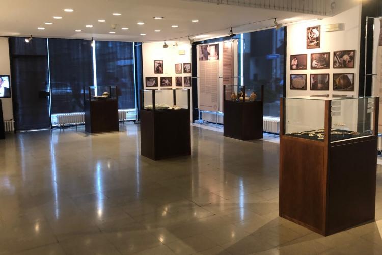 Intangible cultural heritage of Serbia; Danijela Filipović, curator at the Center for Intangible Cultural Heritage of Serbia