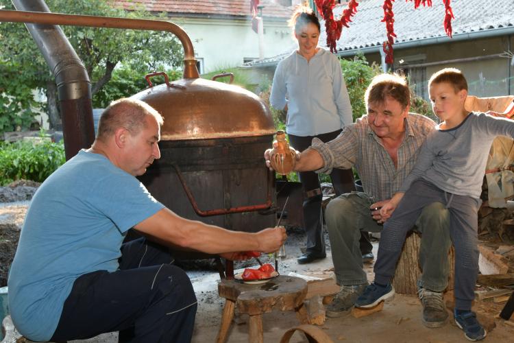 Култура шљиварства и шљивовице у Србији