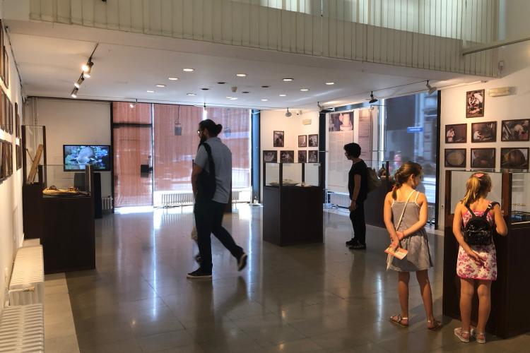 Intangible cultural heritage of Serbia; Danijela Filipović, curator at the Center for Intangible Cultural Heritage of Serbia