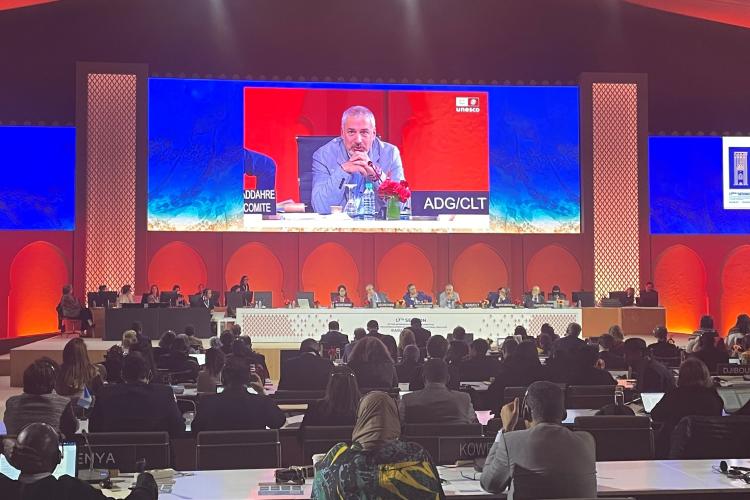 Заседање Међувладиног комитета за НКН