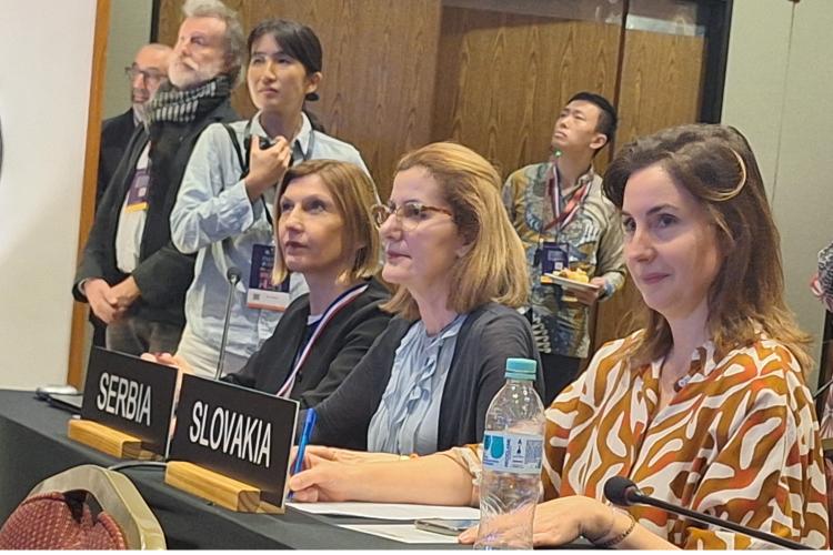 Деветнаесто заседање Унесковог Међувладиног комитета за нематеријално културно наслеђе 