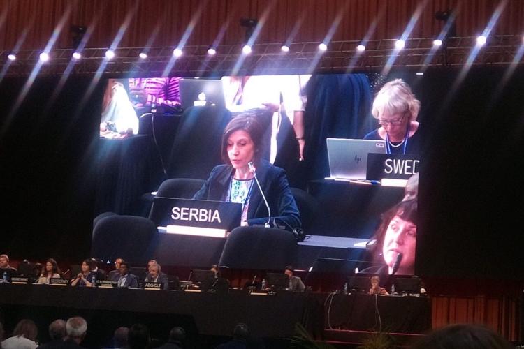 13. заседање Међувладиног комитета за нематеријално културно наслеђе  Данијела Филиповић