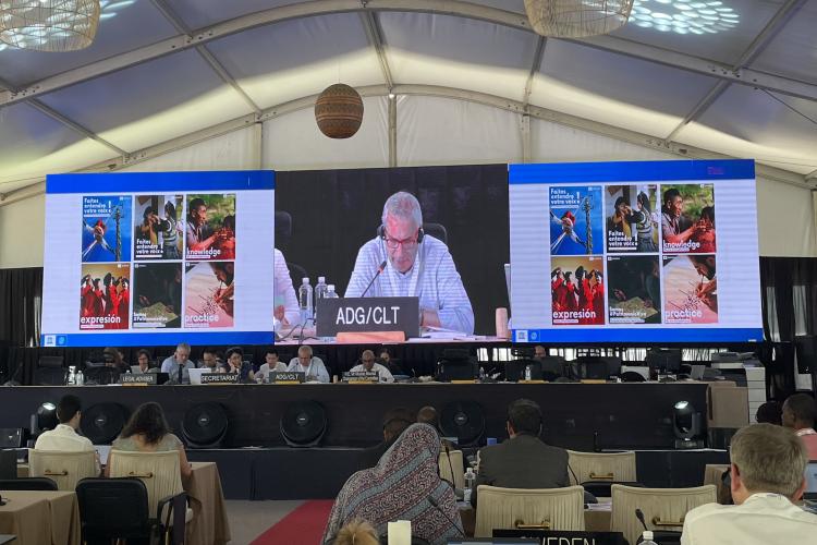 Заседање Међувладиног комитета за НКН 2023