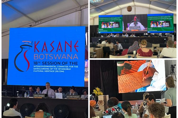 Заседање Међувладиног комитета за НКН 2023