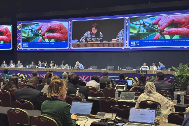 Деветнаесто заседање Унесковог Међувладиног комитета за нематеријално културно наслеђе 