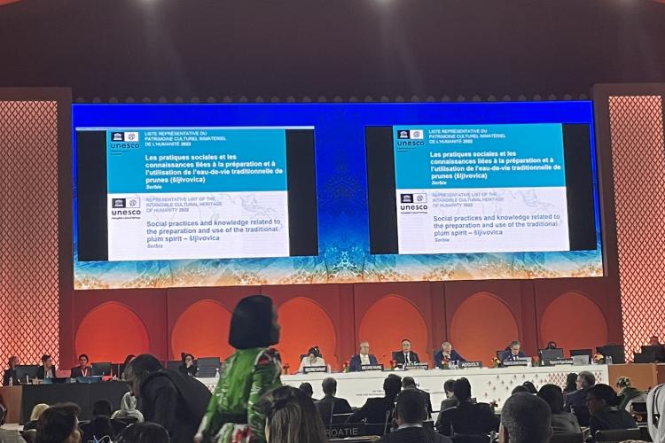 17. заседање Међувладиног комитета за НКН, Мароко, Рабат